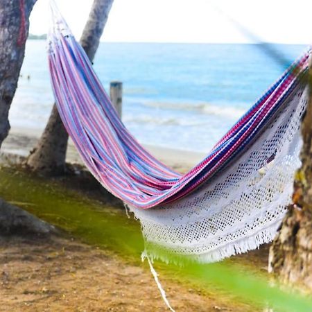 Maison Marouka Sur La Plage Du Diamant Le Diamant Kültér fotó